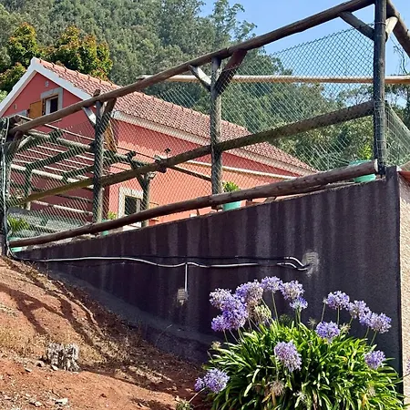 Apartment Avo Domingas Mountain Retreat Campanario